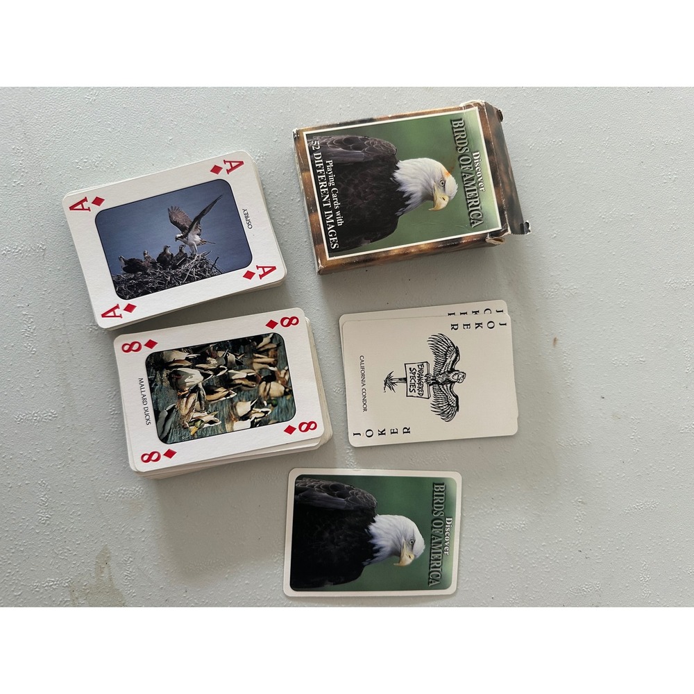 Discover Birds of America Playing Cards 52 Different Images Bald Eagle Nature